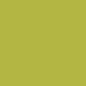 Dekor paint Chalky, yellowish green 100ml