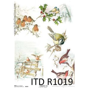 Ριζόχαρτο ITD για decoupage πουλιά, 29*21cm