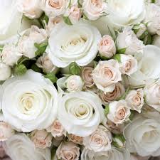 Χαρτοπετσέτα Home fashion για decoupage, romantic roses 25*25cm