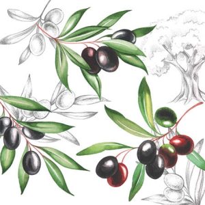 Χαρτοπετσέτα Ambiente για decoupage, olives 25*25cm