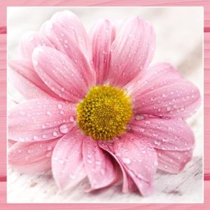 Χαρτοπετσέτα ti flair για decoupage, candy pink flowers 33*33cm