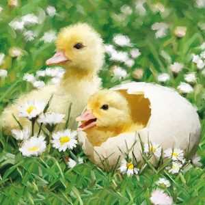 Χαρτοπετσέτα Ambiente για decoupage, Newborn chicks 33*33cm