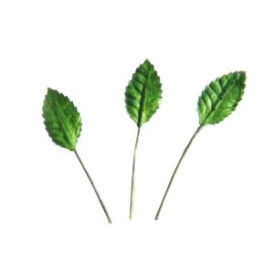 Φυλλαράκια τριανταφύλλου πράσινα, 15mm-10τεμ