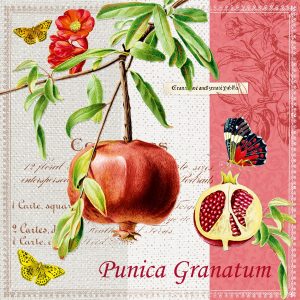 Χαρτοπετσέτα Nouveau για decoupage, punica granatum 33*33cm