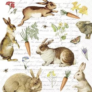 rabbit, λαγουδάκι, καρότο, χαρτοπετσέτα