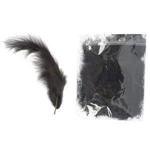 φτερά, πούπουλα, μαύρα, black