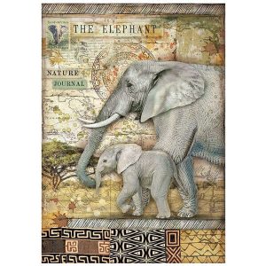 ελέφαντας, ριζόχαρτο