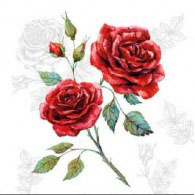 χαρτοπετσέτα, με τριαντάφυλλα, rose