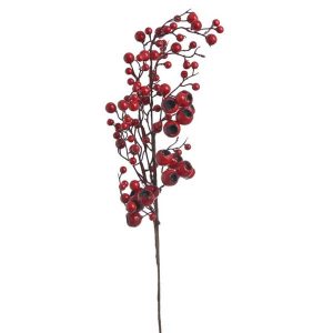 Κλαδί κράταιγος red, 64cm