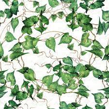 Χαρτοπετσέτα ti-flair για decoupage, green ivy branches 33*33cm